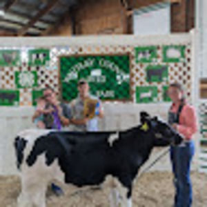 Meet your Posher, Andie